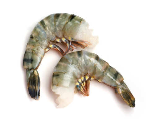 istock_000003770297small-tiger-shrimp
